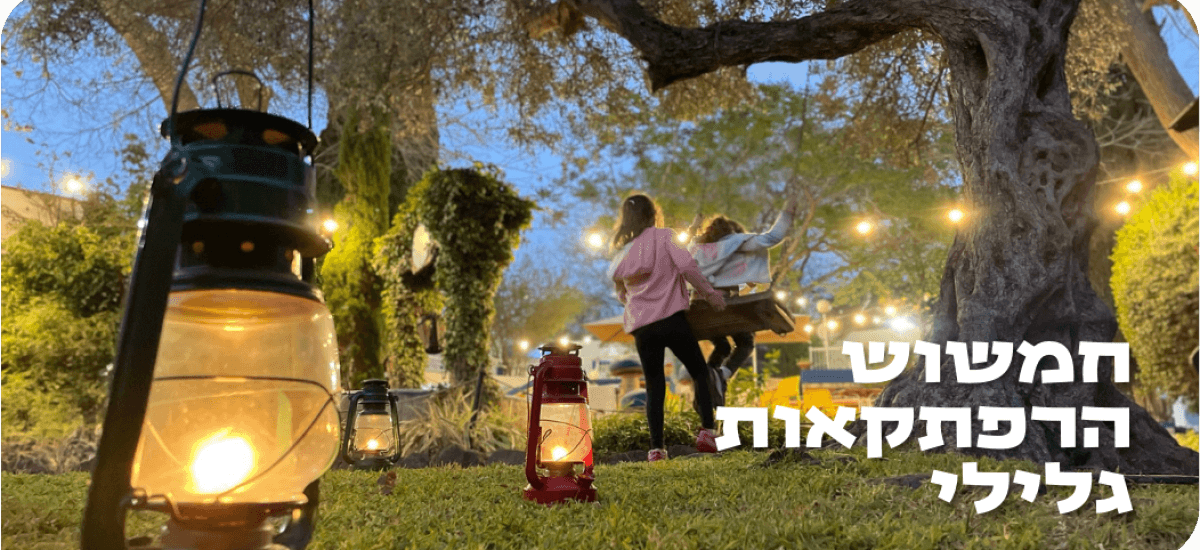 תמונה2